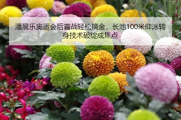 潘展乐奥运会后首战轻松摘金，长池100米仰泳转身技术破绽成焦点