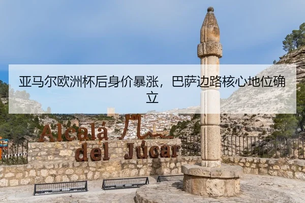 ya-ma-er-ou-zhou-bei-hou-shen-jia-bao-zhang-ba-sa-bian-lu-he-xin-di-wei-que-li-2-167.jpg