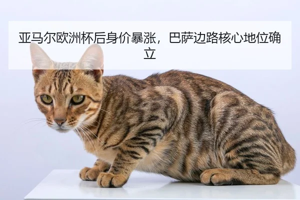 亚马尔欧洲杯后身价暴涨，巴萨边路核心地位确立